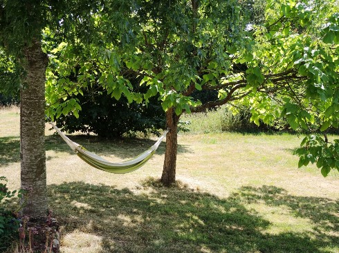 Hammock