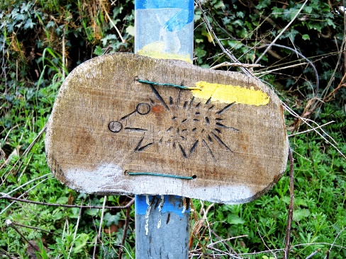 Hedgehog Crossing