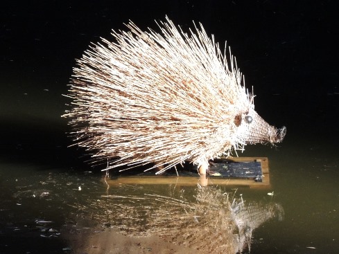 Our town mascot
