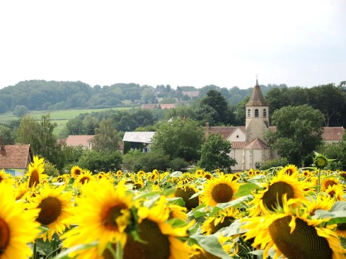 Saint Pourcain
